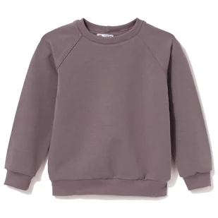 Bluza dresowa dla mamy Basic fioletowa S - Bluzy damskie - miniaturka - grafika 1