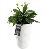 Donice - Donica Z Wkładem Doniczka Ogrodowa Biała 58,5Cm - miniaturka - grafika 1