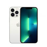 Telefony komórkowe - Apple iPhone 13 Pro Max 5G 6GB/1TB Dual Sim Srebrny MLLL3PM/A - miniaturka - grafika 1