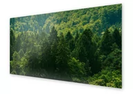 Obrazy i zdjęcia na płótnie - Panel kuchenny HOMEPRINT Zielony krajobraz leśny 100x50 cm - miniaturka - grafika 1