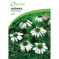 Nasiona i cebule - Jeżówka White Swan 2szt. cebulki kwiatów Geolia - miniaturka - grafika 1