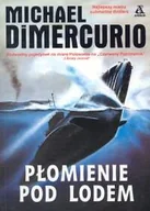 Kryminały - Płomienie pod lodem - miniaturka - grafika 1