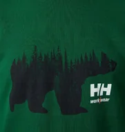 Bluzy męskie - Jumper HELLY HANSEN Graphic Sweatshirt, green XL - miniaturka - grafika 1