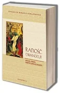 Religia i religioznawstwo - Radość Ewangelii. Biblijne źródła chrześcijańskiej radości - miniaturka - grafika 1