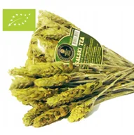 Herbata - Mursalska Herbata Bio Gojnik Premium Jakość! - miniaturka - grafika 1