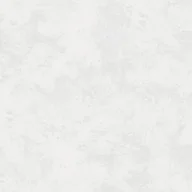Płytki ceramiczne - Emigres Gres RIGA WHITE 60X60 RL - miniaturka - grafika 1