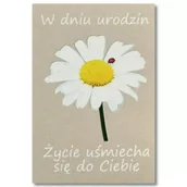 Kartki okolicznościowe i zaproszenia - Kartka okolicznościowa Urodziny - Trend - miniaturka - grafika 1