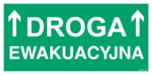 AC051 DROGA EWAKUACYJNA, TS - PŁYTA TD FOTOLUMINESCENCYJNA; (800X400MM) - Systemy ekspozycyjne i znaki informacyjne - miniaturka - grafika 1