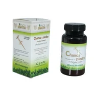 Suplementy naturalne - Incapharma Chanca Piedra 90 k - miniaturka - grafika 1