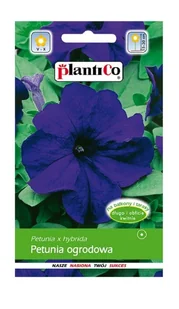 Petunia ogrodowa niebieska Blaues Meer 0,05 g Plantico - Nasiona i cebule - miniaturka - grafika 1