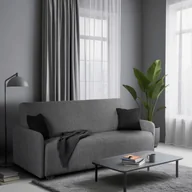 Sofy i kanapy - Sofa z Funkcją Spania ASPEN Wersalka Rozkładana Dwuosobowa Szara Nowoczesna do Salonu - miniaturka - grafika 1