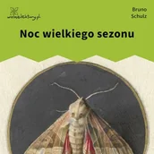 Audiobooki - literatura piękna - Noc wielkiego sezonu Bruno Schulz - miniaturka - grafika 1