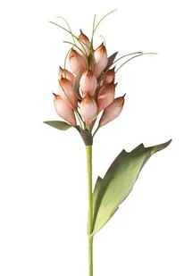 Sztuczny kwiat EUROFIRANY NATU, morelowy, 6 szt. - Sztuczne kwiaty - miniaturka - grafika 1