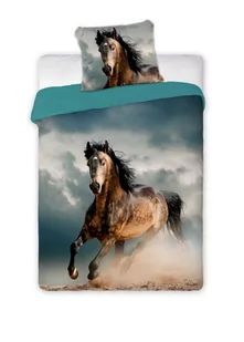 ***Producent niezdefiniowany*** Pościel Młodzieżowa nr 325 Best Friends 00030757 - Pościel dla dzieci - miniaturka - grafika 2