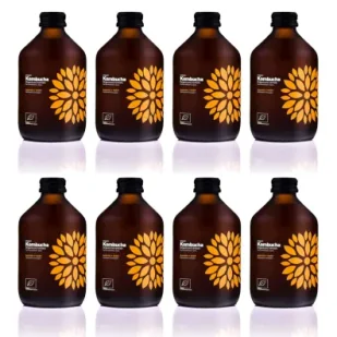 Vigo Yoko Kombucha z imbirem i acerolą bezglutenowa Zestaw 8 x 330 ml Bio - Soki i napoje niegazowane - miniaturka - grafika 1