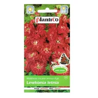 Nasiona i cebule - LEWKONIA letnia CZERWONA nasiona kwiatów 0,5g - miniaturka - grafika 1