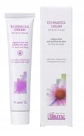 Kremy do twarzy - ARGITAL Krem z echinaceą do cery trądzikowej i zanieczyszczonej - miniaturka - grafika 1