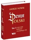 Historia świata - Dzieje Polski. Tom 3. Królestwo zwycięskiego orła - miniaturka - grafika 1
