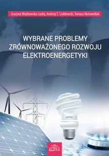 Wybrane problemy zrównoważonego rozwoju elektroenergetyki Wojtkowska-Łodej Grażyna Szablewski Andrzej T. Motowidlak Tomasz - Ekonomia - miniaturka - grafika 1