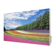 Ogrzewanie przenośne - TERMOFOL Grzejnik na podczerwień z grafiką Łąka Kwietna TF-SWT1000P - miniaturka - grafika 1