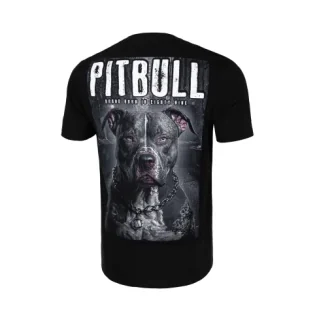 Koszulki sportowe męskie - Pit Bull T-shirt Koszulka Street King Black - grafika 1