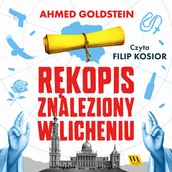 Audiobooki - kryminał, sensacja, thriller - Rękopis znaleziony w Licheniu - miniaturka - grafika 1
