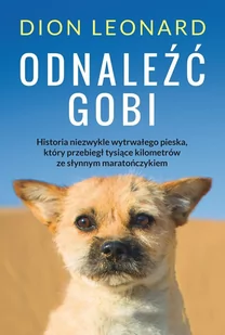 Odnaleźć Gobi - E-booki - literatura faktu - miniaturka - grafika 1