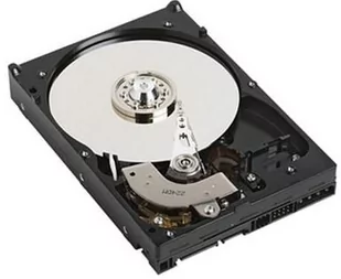 DELL 400-AUPW 1TB - Dyski HDD - miniaturka - grafika 1