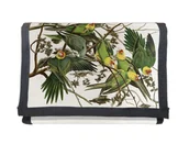 Portfele - Portfel Carolina Parakeet James Audubon - miniaturka - grafika 1