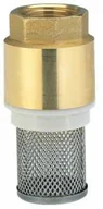 Inne akcesoria do nawadniania - Filtr ssący mosiężny 33,3 mm (G 1")(7221) - miniaturka - grafika 1
