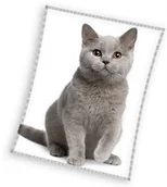 Koce - koc 150x200 młodzieżowy KOT - miniaturka - grafika 1