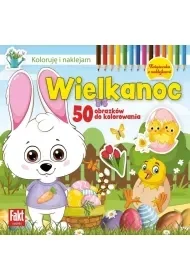 Fakt Naklejki - Czasopisma - miniaturka - grafika 1