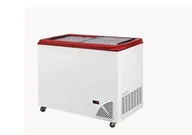 Szafy i witryny chłodnicze - Zamrażarka sklepowa przeszklona BYFAL ARO-300/2 - miniaturka - grafika 1