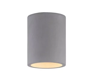 Paul Neuhaus 6160-22 - Oświetlenie punktowe ETON 1xGU10/10W/230V - Lampy sufitowe - miniaturka - grafika 2