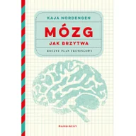 Felietony i reportaże - Mózg jak brzytwa Roczny plan treningowy Nowa - miniaturka - grafika 1