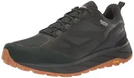 Buty trekkingowe męskie - Jack Wolfskin Męskie buty trekkingowe TERRAVENTURE Texapore Low M, Black Olive, 44 EU, czarny/oliwkowy (Black Olive), 44 EU - miniaturka - grafika 1