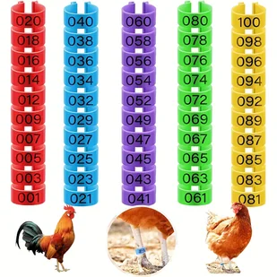 TEMU 100 Szt. Obrączki Na Udka Kurczaka W 5 Kolorach, Opaski Na Udka Kurczaka Kolorowe Opaski Na Udko Drobiu, Przypinane Pierścienie Na Kostkę - Inne - miniaturka - grafika 1