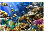 Fototapety - Oobrazy Fototapeta, Rafa koralowa, 8 elementów, 368x248 cm - miniaturka - grafika 1