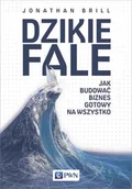 Zarządzanie - Dzikie fale - miniaturka - grafika 1