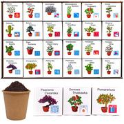 Ozdoby bożonarodzeniowe - KALENDARZ ADWENTOWY Rośliny do uprawy zestaw DIY 24 pudełka dla dzieci 2023 - miniaturka - grafika 1