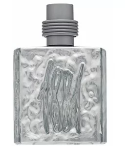 Cerruti 1881 Silver woda toaletowa 100ml - Wody i perfumy męskie - miniaturka - grafika 1