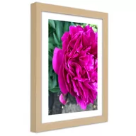 Plakaty - Plakat w ramie naturalnej, Różowy duży kwiat (Rozmiar 40x60) - miniaturka - grafika 1