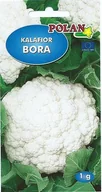 Nasiona i cebule - Kalafior Bora 1 g POLAN - miniaturka - grafika 1