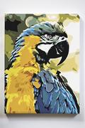 Malowanie po numerach - Papuga, ptak, egzotyka, malowanie po numerach - miniaturka - grafika 1
