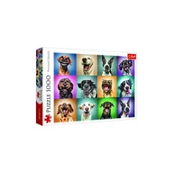 Puzzle - Puzzle 1000  Mix Trefl - miniaturka - grafika 1