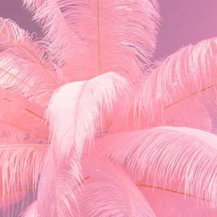KARE Feather Palm lampa stojąca z piórami, różowa - Lampy stojące - miniaturka - grafika 1