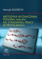 Technika - Metodyka wyznaczania poziomu hałasu na stanowisku pracy w przykładach - miniaturka - grafika 1