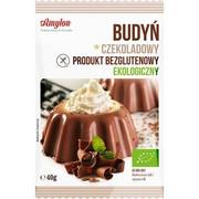 Amylon BUDYŃ CZEKOLADOWY (BEZGLUTENOWY) BIO 40 g -