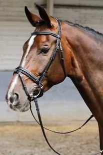 Harry''s Horse Ogłowie Soft - Ogłowia - miniaturka - grafika 1