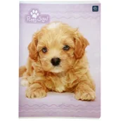 Zeszyty szkolne - Inter-druk Zeszyt A5/16K kratka UV Puppy Sign (20szt) - miniaturka - grafika 1